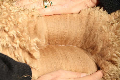 Manno's advanced fleece - Year 1: Micron Data